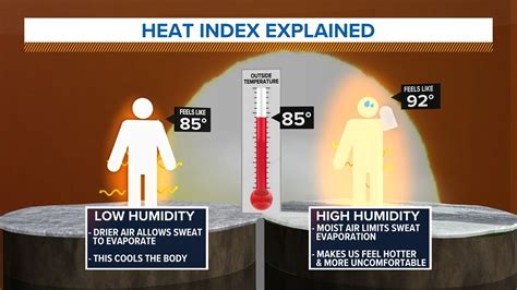 How humidity can make it feel hotter than it is